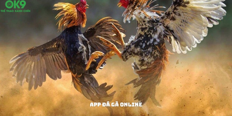 App đá gà online