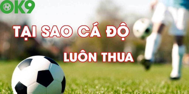 Cá độ bóng đá luôn thua